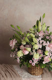 Baby’s Breath 2.0