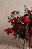 Scarlet Muse