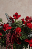 Scarlet Muse