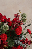 Scarlet Muse
