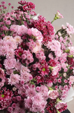 Cherry Blossom