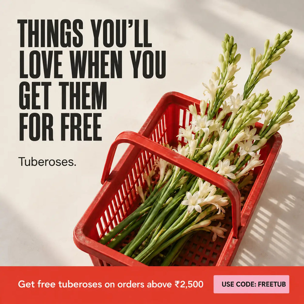 Promotional offer artwork