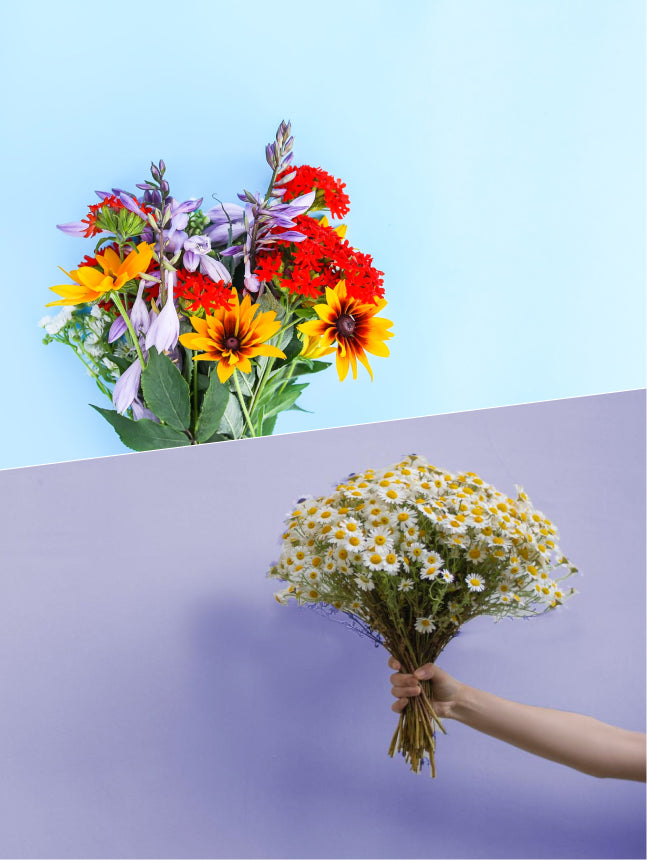 Farmerr Flowers