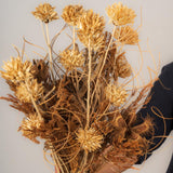 Spice Theory