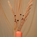 Golden harvest