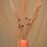 Golden harvest