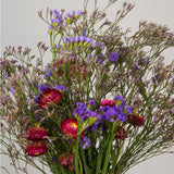 The longest- lasting blooms