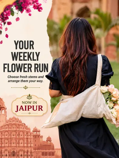 Farmerr Flowers