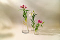 Oriental Lily-3 stems