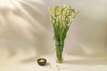 Fragrant Tuberose-5 stems
