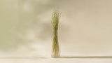 Naturally Dried Wild Grass