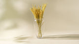 Naturally Dried Corn Tassel (Bunch of 10 stems)
