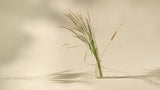 Naturally Dried Deenanath Grass