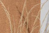 Naturally Dried Reed Grass (Bunch of 150 stems)